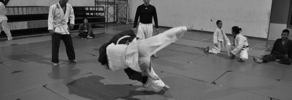 Judo (Ph: Pixabay)