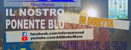 Embedded thumbnail for Video Il nostro Ponente Blu