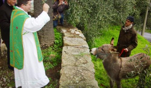 Benedizione dell'Arca di Noè 2026