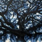  Andrea Chiesi - L'albero della vita (2024) - Pennarello e inchiostro di china su carta su tavola - cm 100x140