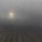 Edoardo Cialfi - Bruma coltivata, 2025 - Aerosol su tela - 50x50 cm