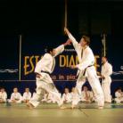 Judo Club Diano Marina (Ph: Comune di Diano Marina)